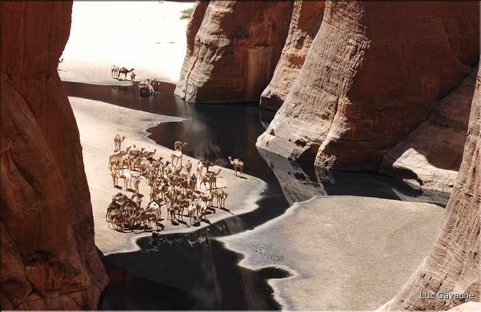 La guelta est entourée de falaises d'une centaine de mètres de haut. (13)
