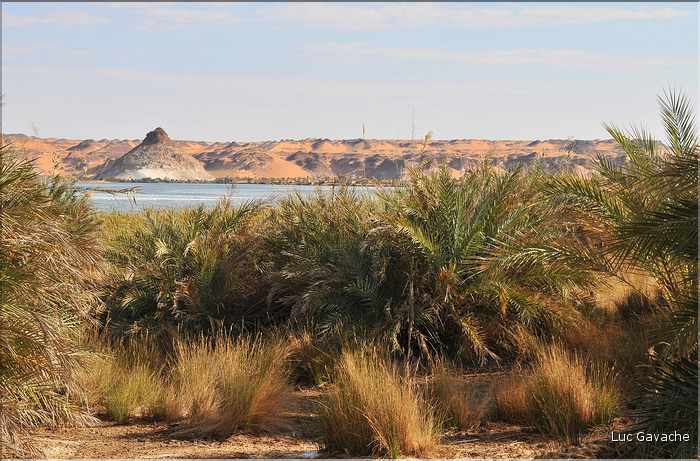 Le lac Elimé est bordé d'une végétation abondante. (18)