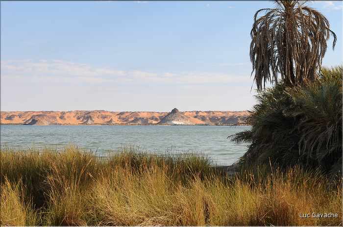 Le lac Elimé est bordé d'une végétation abondante. (19)