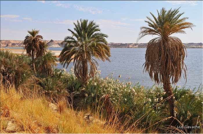 Elimé est le plus grand des lacs d'Ounianga Sérir. (7)
