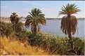 Elimé est le plus grand des lacs d'Ounianga Sérir. (7)