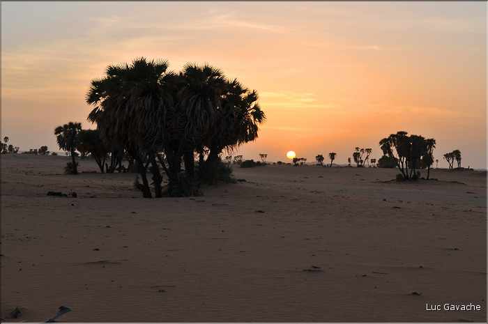 Coucher de soleil sur la piste Ounianga-Faya Largeau. (1)
