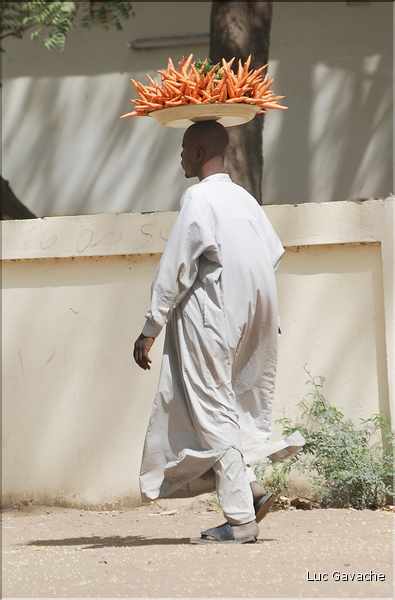 Quelques scènes de vie à N'Djamena. (1)