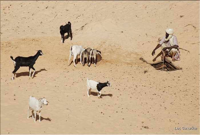 Le wadi Kika se situe à l'Ouest de l'Ennedi. (3)