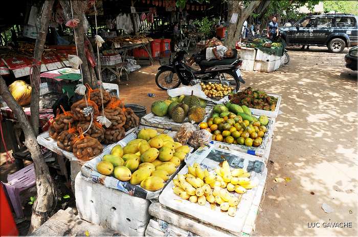 Un petit marché dans les environs de Siem Reap. (3)