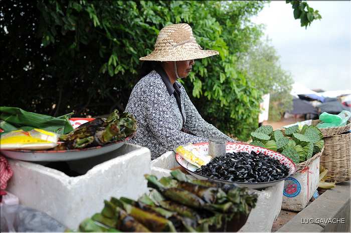 Un petit marché dans les environs de Siem Reap. Vendeuse de scarabées (1)
