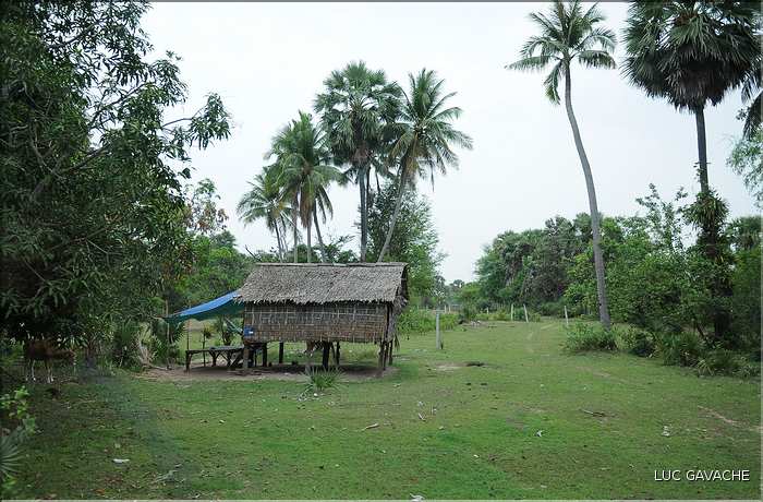 Habitats traditionnels dans la région de Siem Reap. (2)