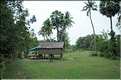 Habitats traditionnels dans la région de Siem Reap. (2)
