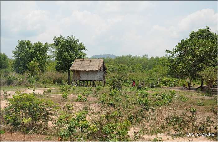 Habitats traditionnels dans la région de Siem Reap. (4)