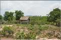 Habitats traditionnels dans la région de Siem Reap. (4)