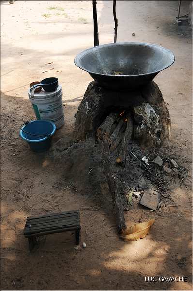 Habitats traditionnels dans la région de Siem Reap. (9)