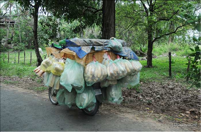 Moyens de transports au Cambodge. (2)