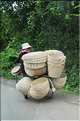 Moyens de transports au Cambodge. (4)