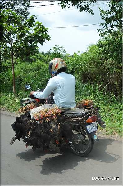 Moyens de transports au Cambodge. (6)
