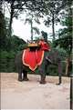 Les animaux des Temples dAngkor. (3)