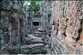 Le temple de Preah Khan fut réalisé par Jayavarman VII à la fin du XI ème siècle. (7)