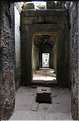 Le temple de Preah Khan fut réalisé par Jayavarman VII à la fin du XI ème siècle. (12)