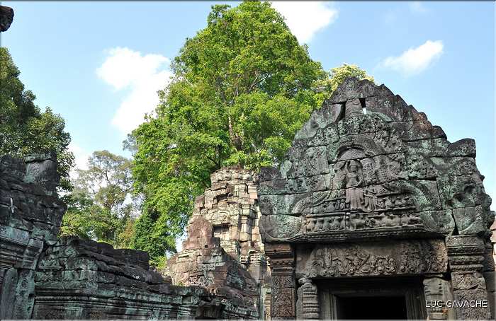 Le temple de Preah Khan fut réalisé par Jayavarman VII à la fin du XI ème siècle. (19)
