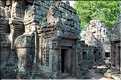 Le temple de Preah Khan fut réalisé par Jayavarman VII à la fin du XI ème siècle. (20)