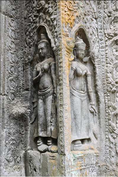Le temple de Ta Prohm fut réalisé par Jayavarman VII qui le dédia à sa mère. (7)