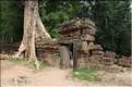 Ta Prohm fut volontairement laissé sous lemprise de la forêt. (1)