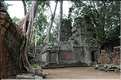 Ta Prohm fut volontairement laissé sous lemprise de la forêt. (9)