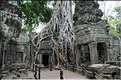 Ta Prohm fut volontairement laissé sous lemprise de la forêt. (15)