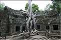 Ta Prohm fut volontairement laissé sous lemprise de la forêt. (24)