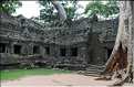 Ta Prohm fut volontairement laissé sous lemprise de la forêt. (27)