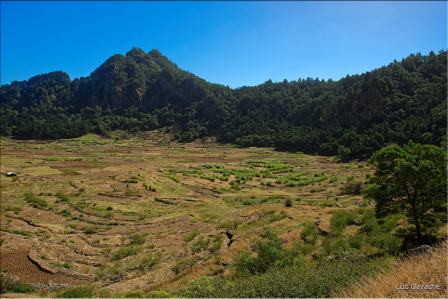 Le cratère de Cova sur l'Estrada da Corda est un haut lieu de l'agriculture insulaire. (4)