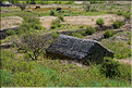 Le cratère de Cova sur l'Estrada da Corda est un haut lieu de l'agriculture insulaire. (7)