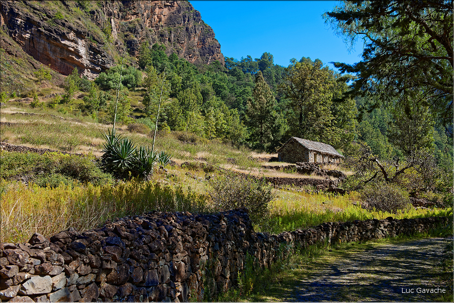Le cratère de Cova sur l'Estrada da Corda est un haut lieu de l'agriculture insulaire. (13)