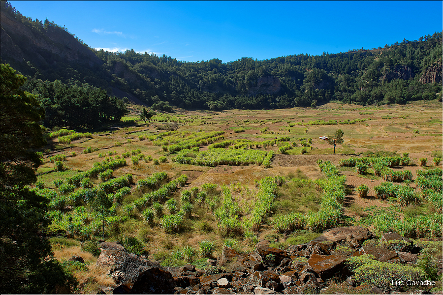 Le cratère de Cova sur l'Estrada da Corda est un haut lieu de l'agriculture insulaire. (20)