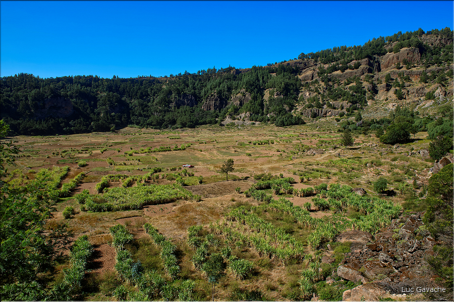 Le cratère de Cova sur l'Estrada da Corda est un haut lieu de l'agriculture insulaire. (24)