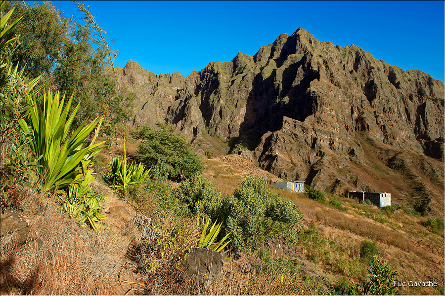 Région de Coculi à côté de Ribeira Grande. (8)