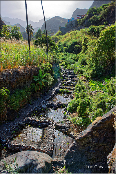 Contrairement à la côte, la Ribeira do Paul est bien verte grâce à l'eau collectée par la vallée. (4)