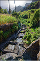 Contrairement à la côte, la Ribeira do Paul est bien verte grâce à l'eau collectée par la vallée. (4)