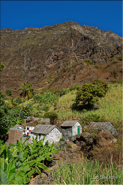 Contrairement à la côte, la Ribeira do Paul est bien verte grâce à l'eau collectée par la vallée. (20)