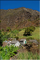 Contrairement à la côte, la Ribeira do Paul est bien verte grâce à l'eau collectée par la vallée. (20)
