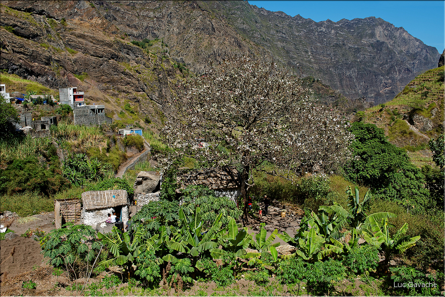 La vallée de Paul est une altérnance de cultures et de maisons traditionnels. (20)
