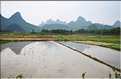 Rizières dans les environs de Guilin. (1)