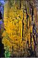 Grotte des flûtes de roseau dans les environs de Guilin. (8)