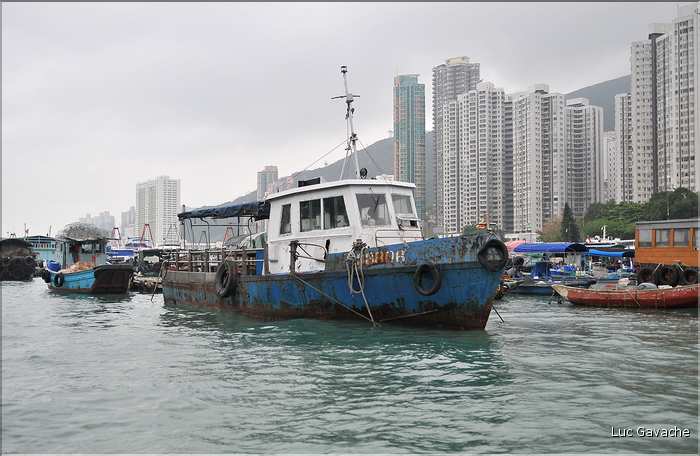 L'ancien port de Aberdeen abrite encore une petite flotte de pêche. Hong Kong. (6)