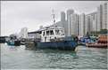 L'ancien port de Aberdeen abrite encore une petite flotte de pêche. Hong Kong. (6)
