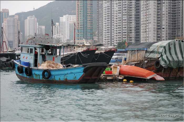 L'ancien port de Aberdeen abrite encore une petite flotte de pêche. Hong Kong. (7)