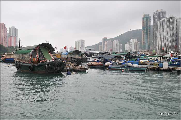 L'ancien port de Aberdeen abrite encore une petite flotte de pêche. Hong Kong. (8)