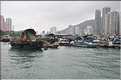L'ancien port de Aberdeen abrite encore une petite flotte de pêche. Hong Kong. (8)