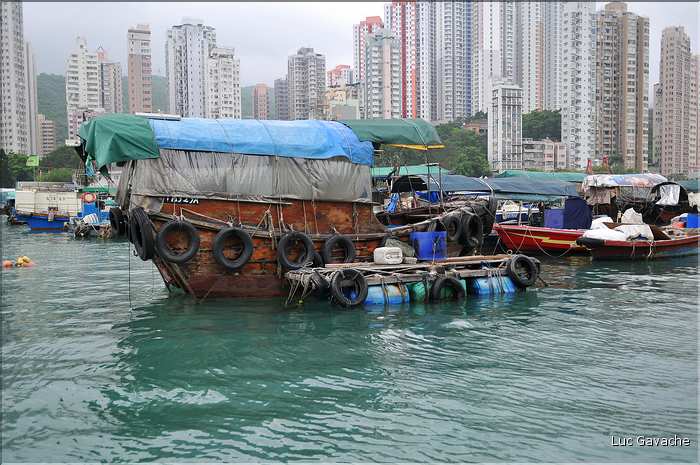 L'ancien port de Aberdeen abrite encore une petite flotte de pêche. Hong Kong. (9)