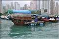 L'ancien port de Aberdeen abrite encore une petite flotte de pêche. Hong Kong. (9)