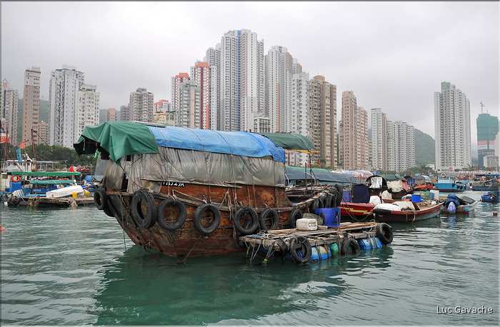 L'ancien port de Aberdeen abrite encore une petite flotte de pêche. Hong Kong. (10)